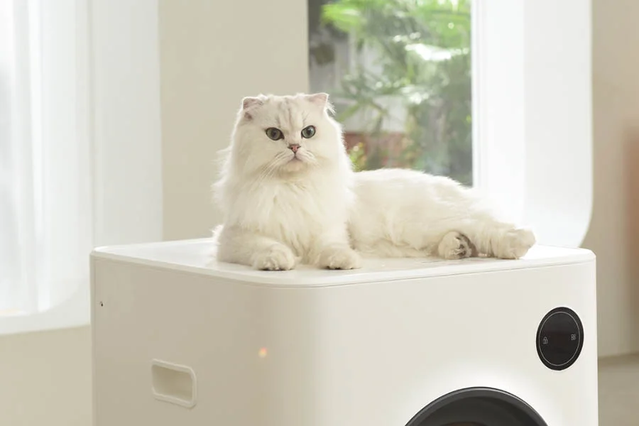 best automatic litter box for large cats